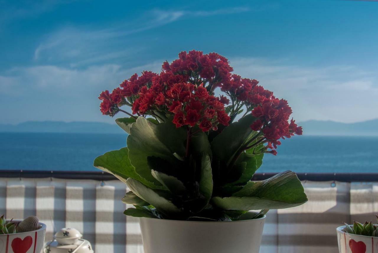 Apartment Paradise View Rijeka Ngoại thất bức ảnh